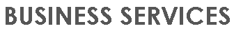 BUSINESS SERVICES